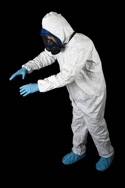 Best Mold Removal for HVAC Installations  in East Flat Rock, NC