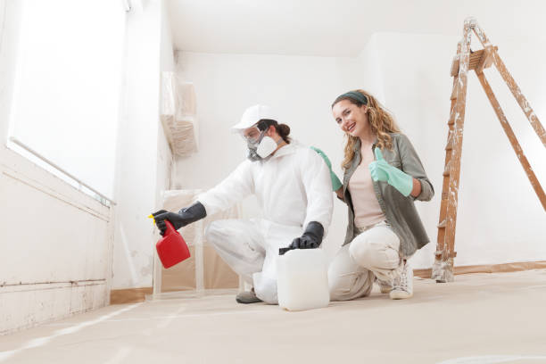 Best Attic Mold Removal  in East Flat Rock, NC