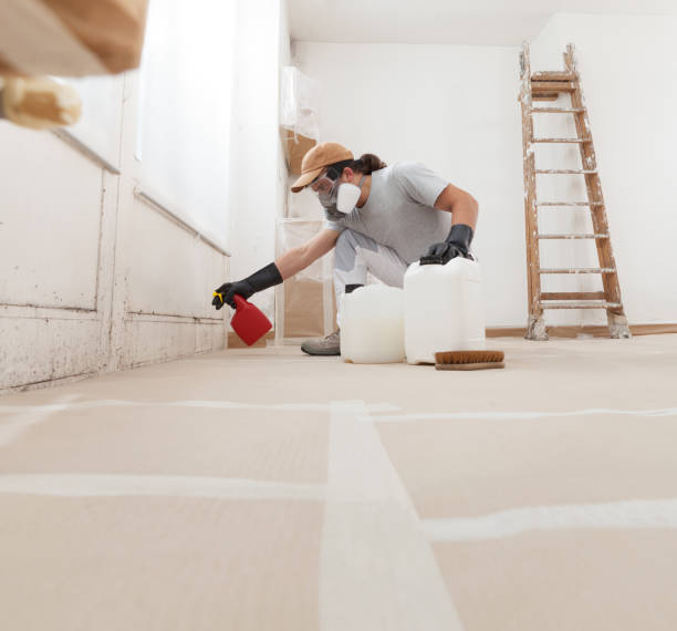 Best HVAC Mold Inspection and Cleaning  in East Flat Rock, NC